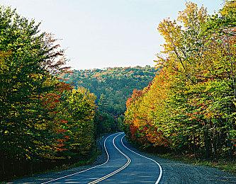 手持涂鸦枪大闹四方，像素沙盒《方块方舟》儿童节版本上线